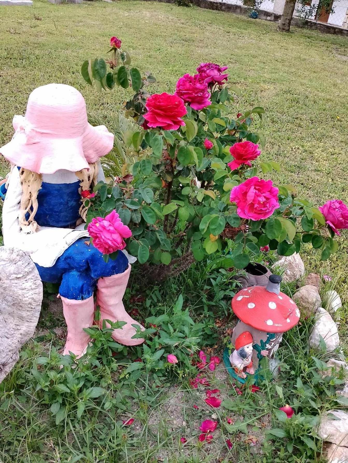 公寓 Alexandra's Garden