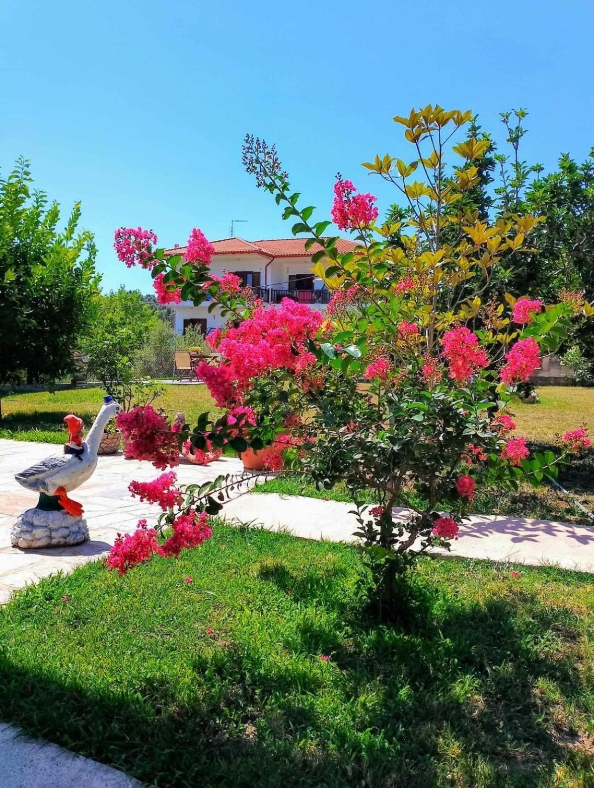 Alexandra's Garden 公寓 Palioúrion